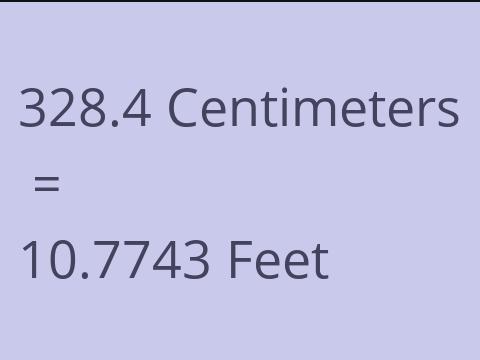 328.4 CM TO FEET