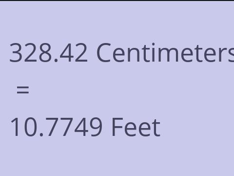 328.42 CM TO FEET