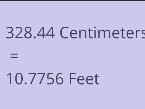 328.44 CM TO FEET