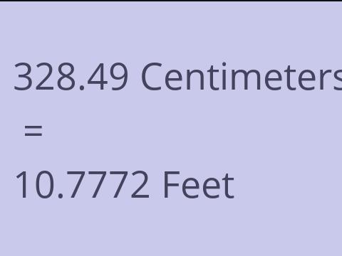 328.49 CM TO FEET