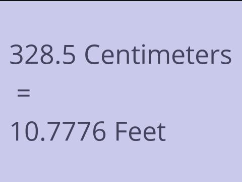 328.5 CM TO FEET