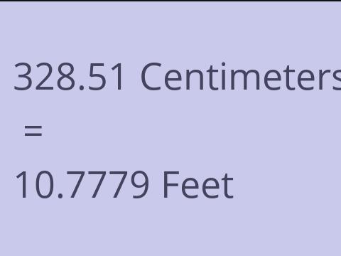 328.51 CM TO FEET