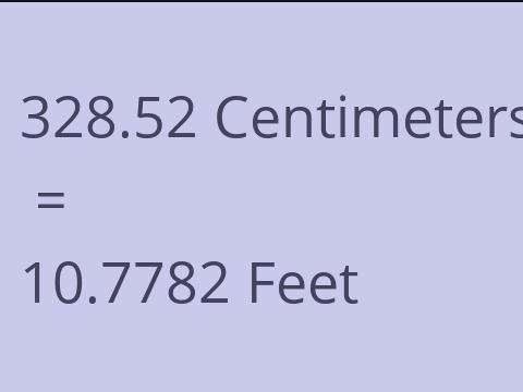 328.52 CM TO FEET