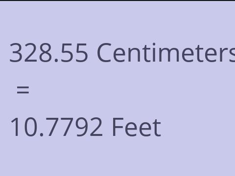 328.55 CM TO FEET