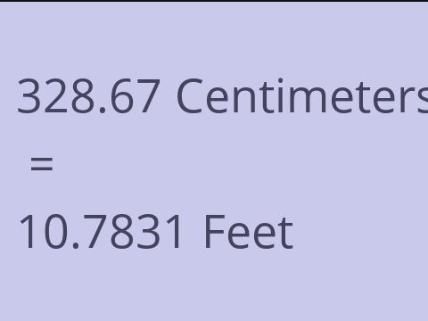 328.67 CM TO FEET