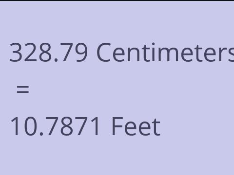 328.79 CM TO FEET