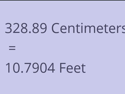 328.89 CM TO FEET