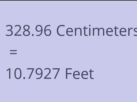 328.96 CM TO FEET