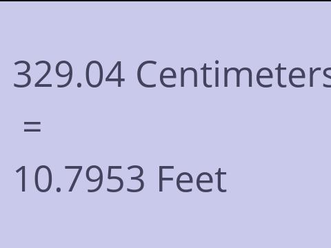 329.04 CM TO FEET