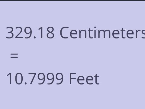 329.18 CM TO FEET