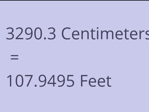 3290.3 CM TO FEET