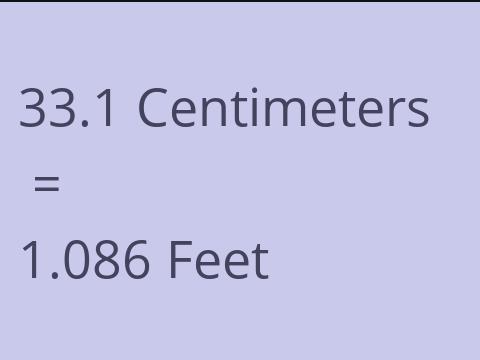 33.1 CM TO FEET