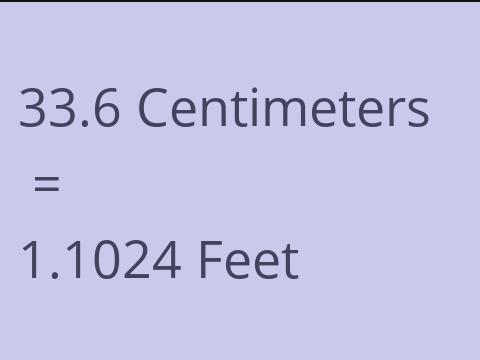 33.6 CM TO FEET