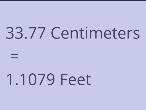 33.77 CM TO FEET