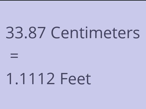 33.87 CM TO FEET