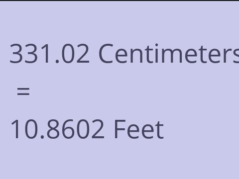 331.02 CM TO FEET