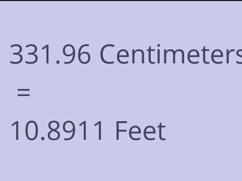 331.96 CM TO FEET