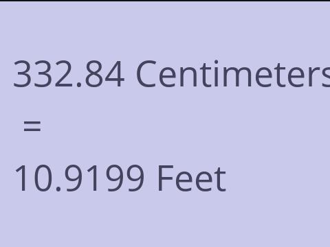 332.84 CM TO FEET