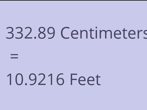 332.89 CM TO FEET