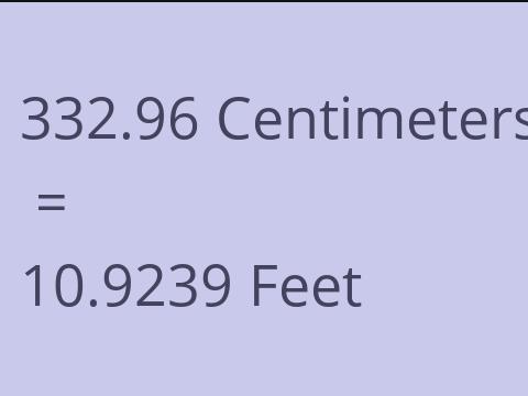 332.96 CM TO FEET