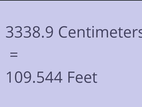 3338.9 CM TO FEET