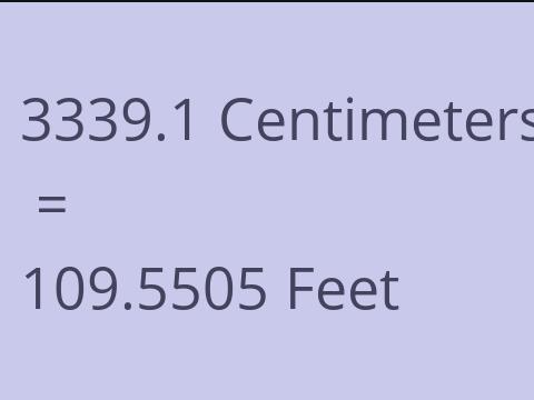 3339.1 CM TO FEET
