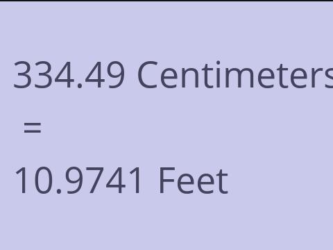 334.49 CM TO FEET