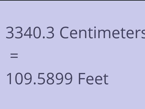 3340.3 CM TO FEET