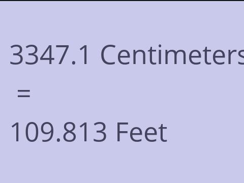 3347.1 CM TO FEET