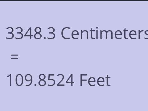 3348.3 CM TO FEET