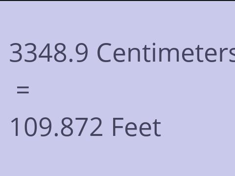 3348.9 CM TO FEET