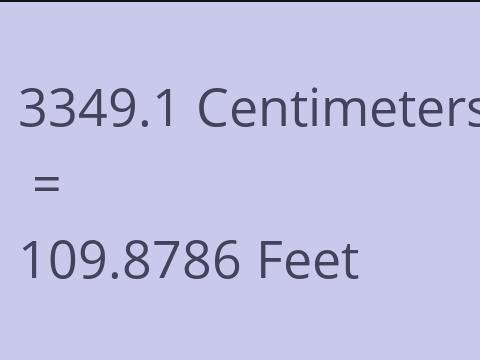 3349.1 CM TO FEET
