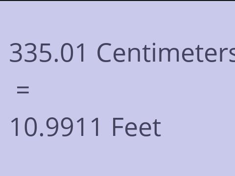 335.01 CM TO FEET