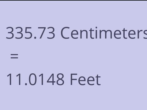 335.73 CM TO FEET