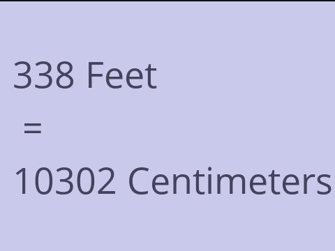 338 FEET TO CM