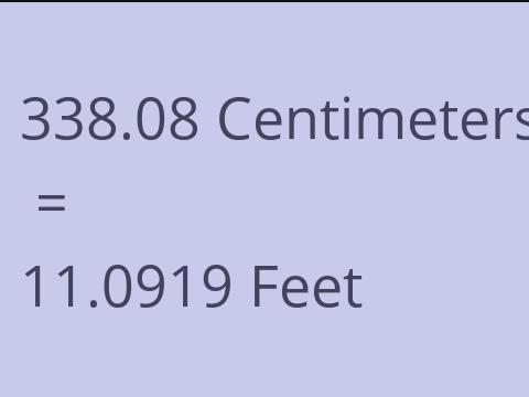 338.08 CM TO FEET