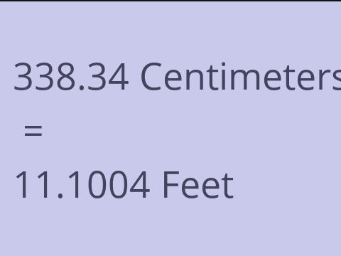 338.34 CM TO FEET