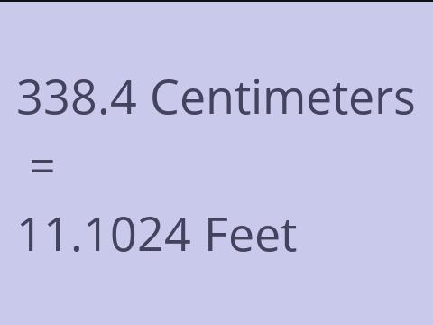 338.4 CM TO FEET