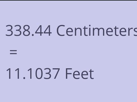 338.44 CM TO FEET