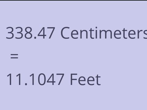 338.47 CM TO FEET