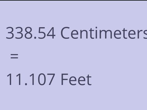 338.54 CM TO FEET