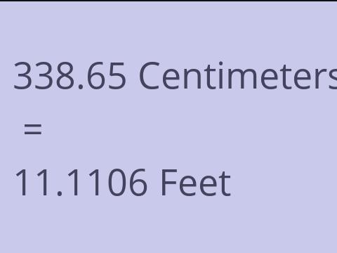 338.65 CM TO FEET