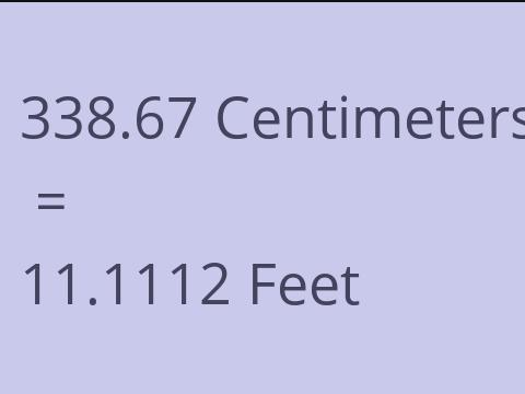 338.67 CM TO FEET