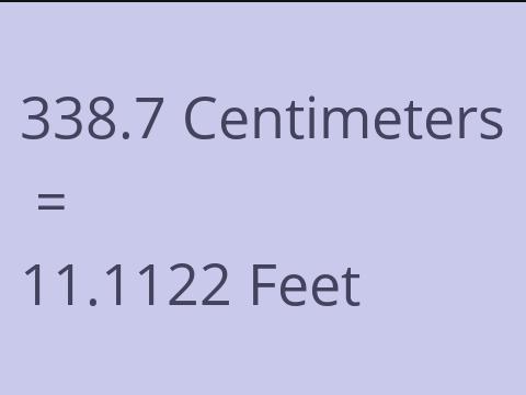 338.7 CM TO FEET