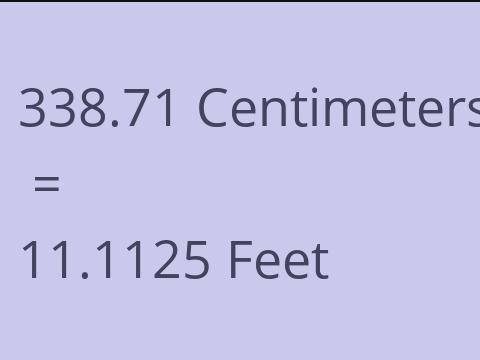 338.71 CM TO FEET