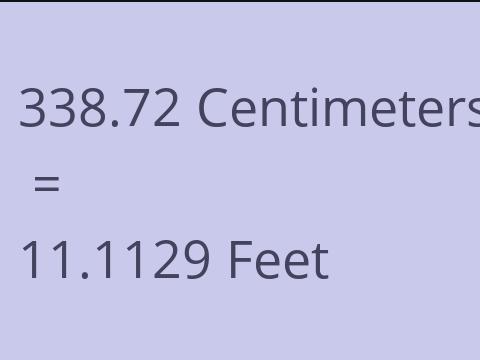 338.72 CM TO FEET