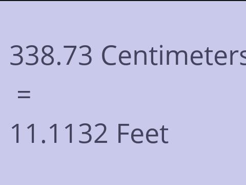 338.73 CM TO FEET