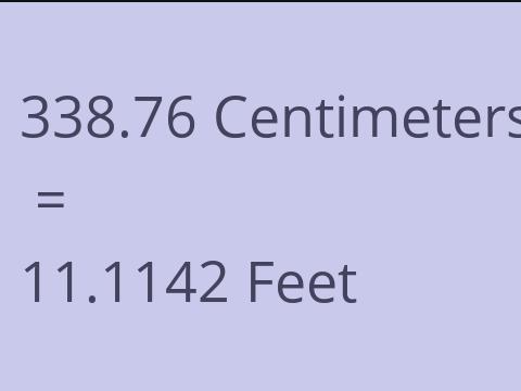 338.76 CM TO FEET