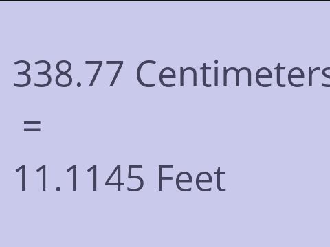 338.77 CM TO FEET