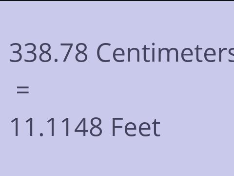 338.78 CM TO FEET